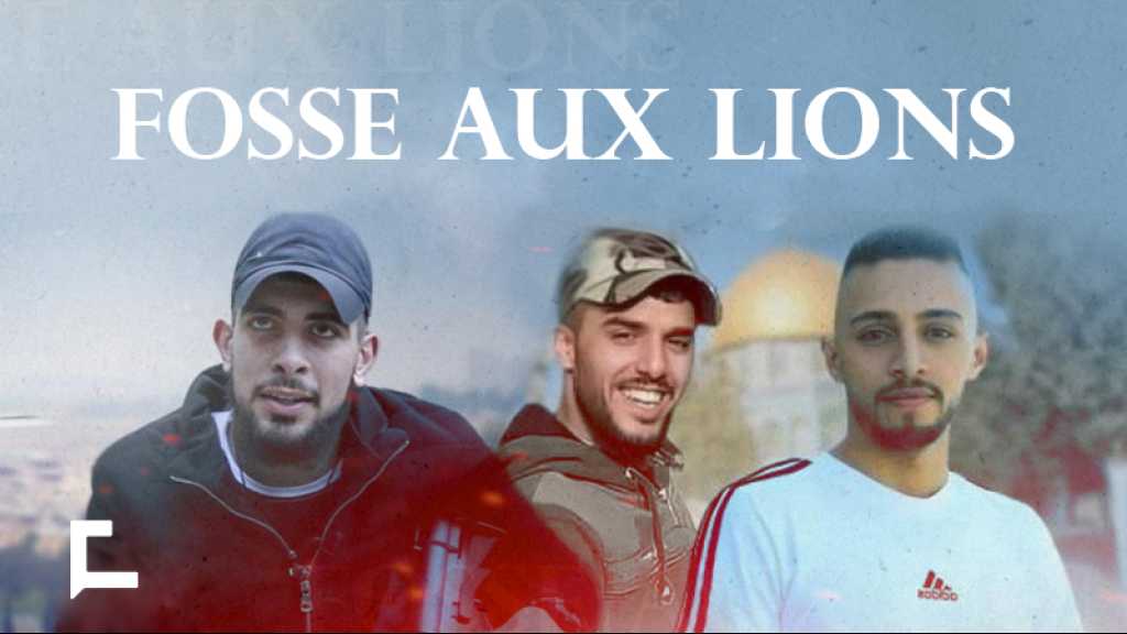 La fosse aux lions