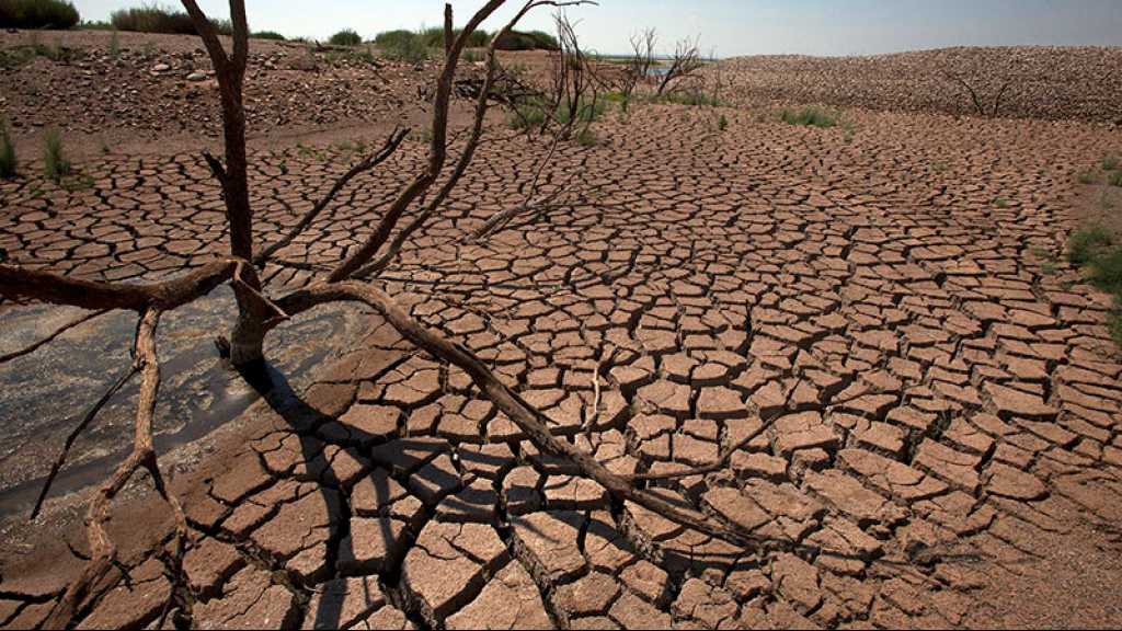 Risque «très élevé» de pénurie d’eau et de nourriture au Moyen-Orient, selon Greenpeace