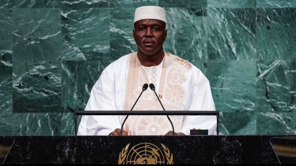Mali: la junte interdit les activités des ONG financées par la France