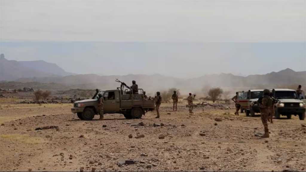 Niger: l’armée a tué une trentaine de «terroristes» ayant fui le Nigeria