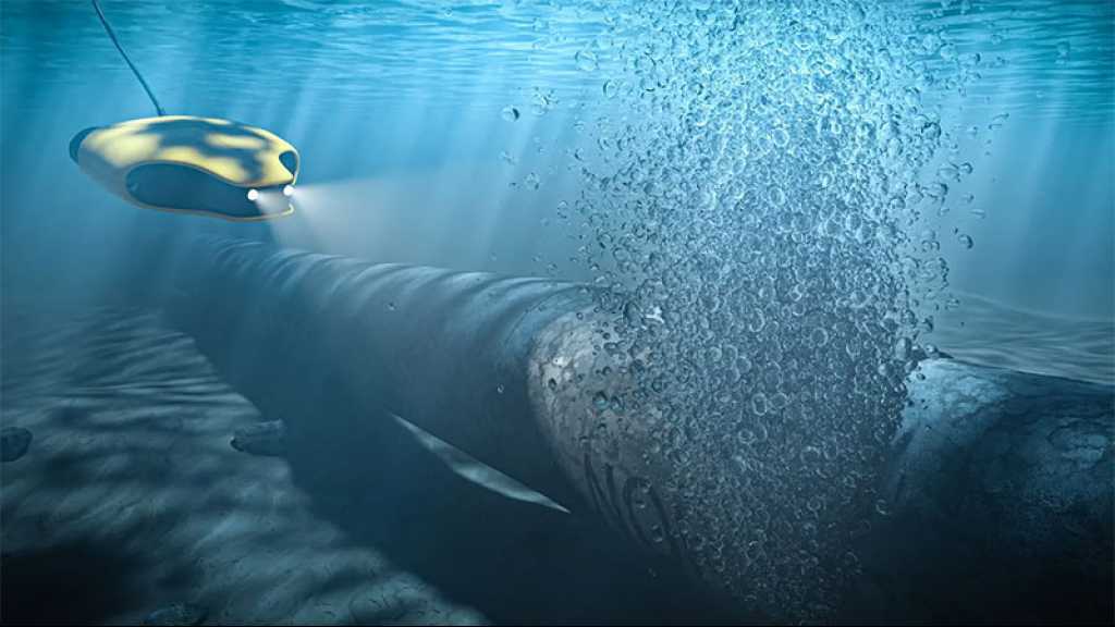 Sabotage de Nord Stream: de nouvelles pistes de l’enquête mènent à l’Ukraine, selon la presse allemande