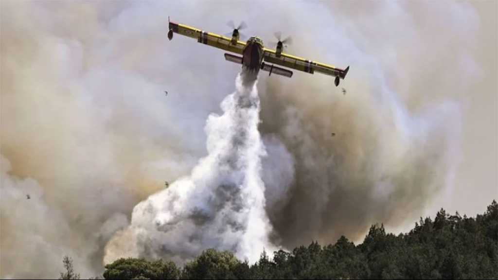 Grèce : Les feux de forêt presque circonscrits, nouvelle vague de chaleur attendue