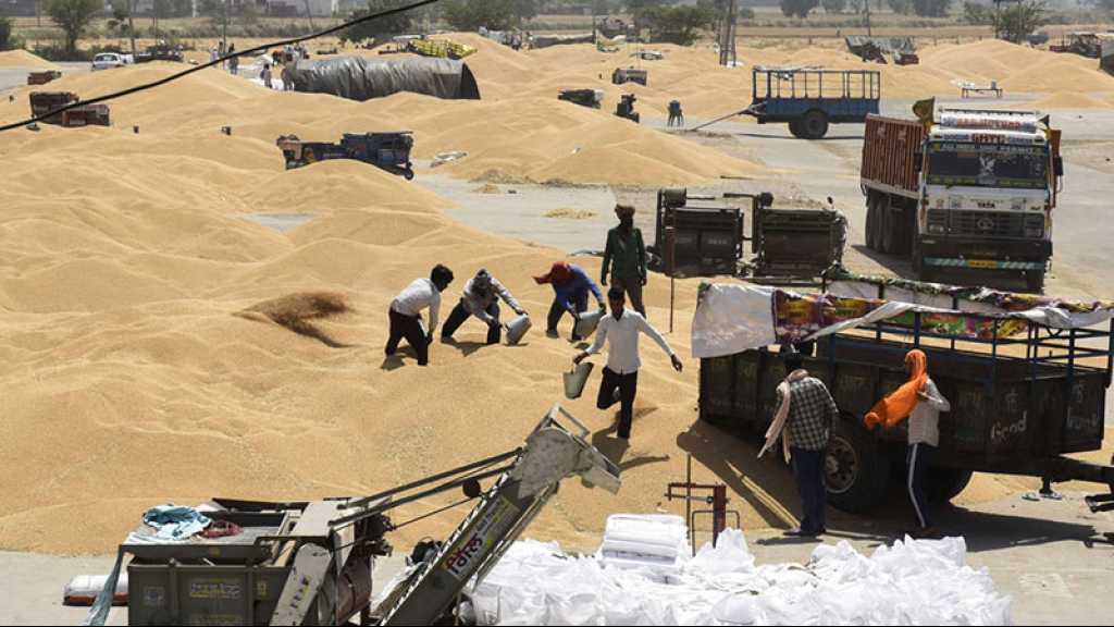 Le blé clôture en hausse sur le marché européen après la suspension du corridor céréalier