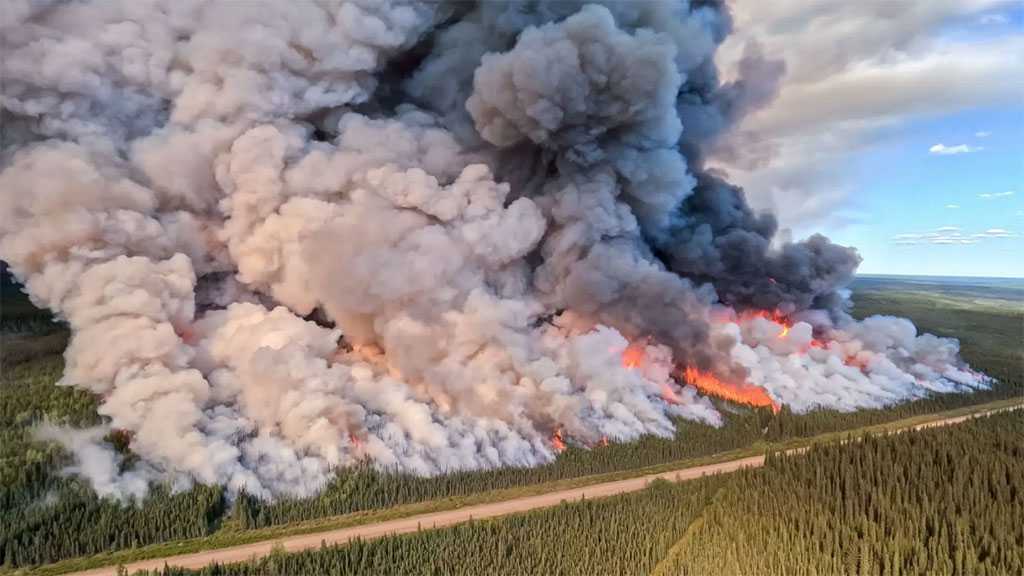 Les feux de forêts au Canada ont généré un record d’émissions de carbone