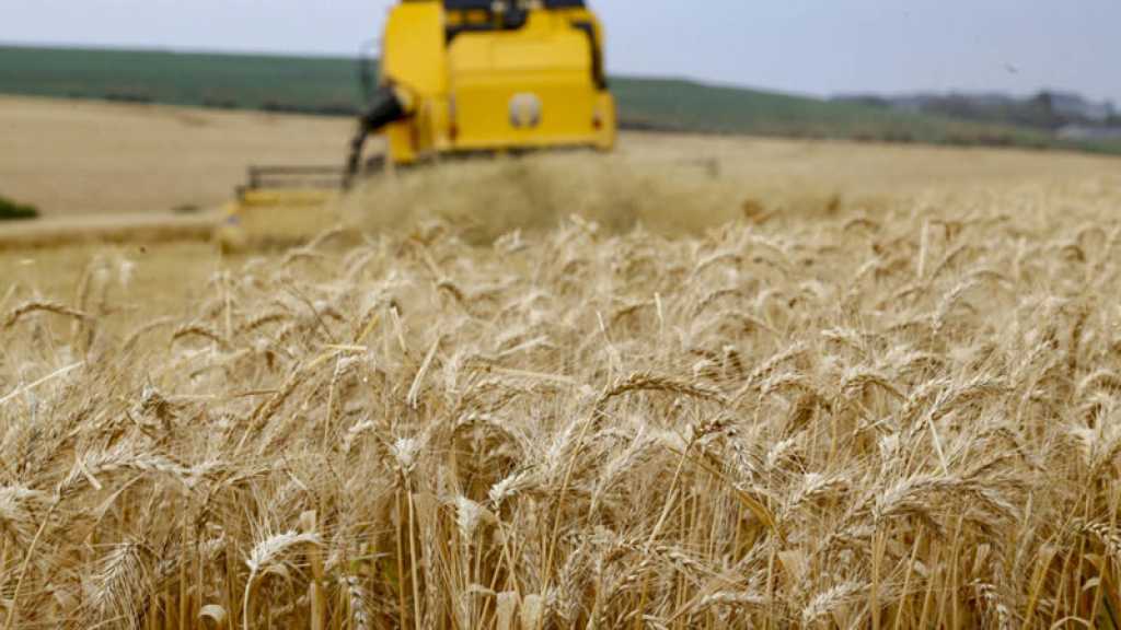 Nourriture pour tous: les ministres de l’Agriculture des BRICS signent une déclaration
