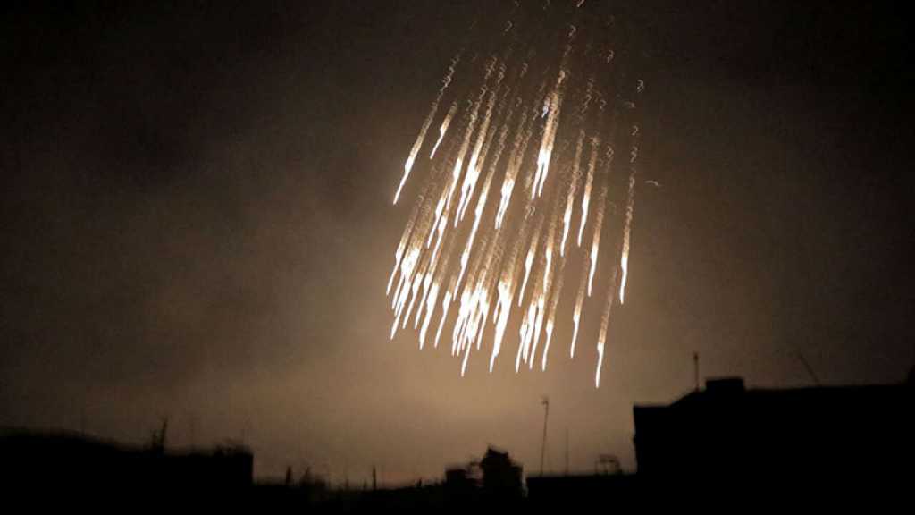 Russie: Kiev mène des frappes avec du phosphore blanc contre une réserve naturelle