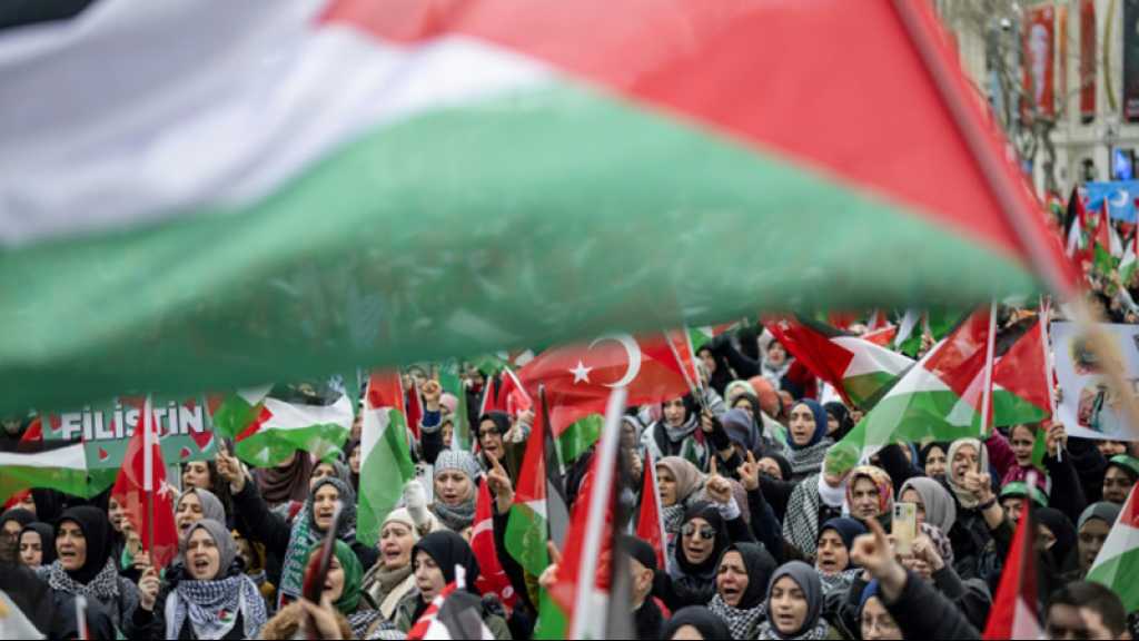 Guerre à Gaza: La Turquie suspend toute relation commerciale avec «Israël»
