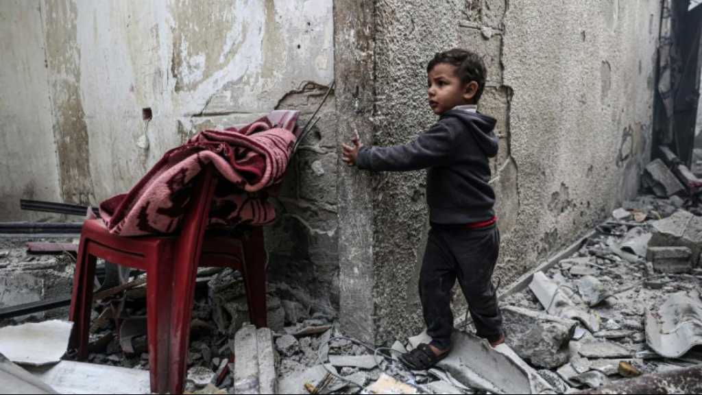  Une délégation du Hamas au Caire pour des discussions samedi sur la trêve à Gaza 