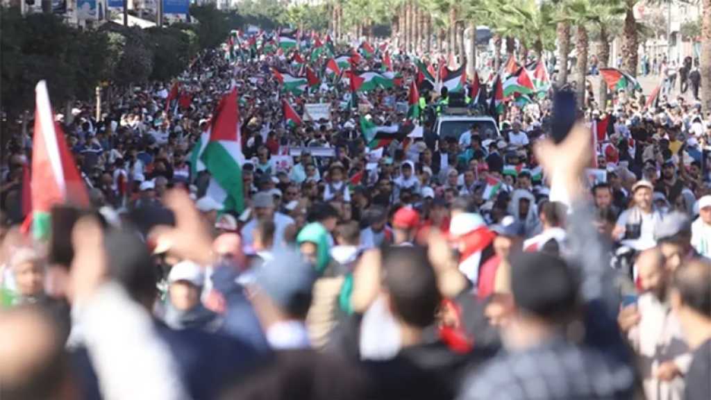 Guerre à Gaza: Manifestations de par le monde en soutien au peuple palestinien