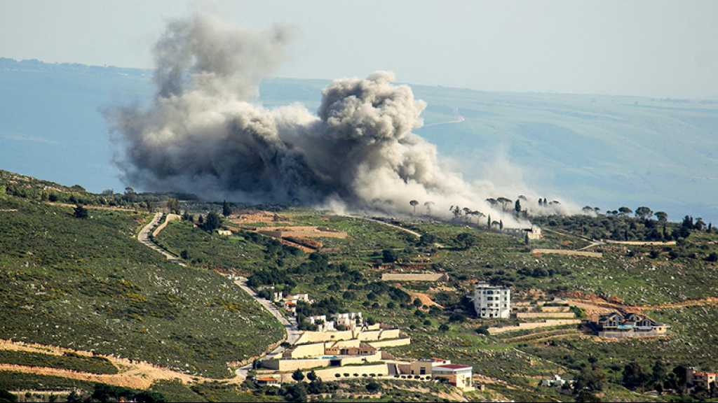 Liban: La guerre «israélienne» a coûté plus de 700 millions de dollars au secteur agricole