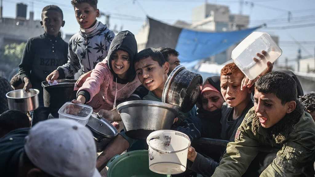  Gaza: Plus de 1,1 million d’enfants souffrent de malnutrition aiguë