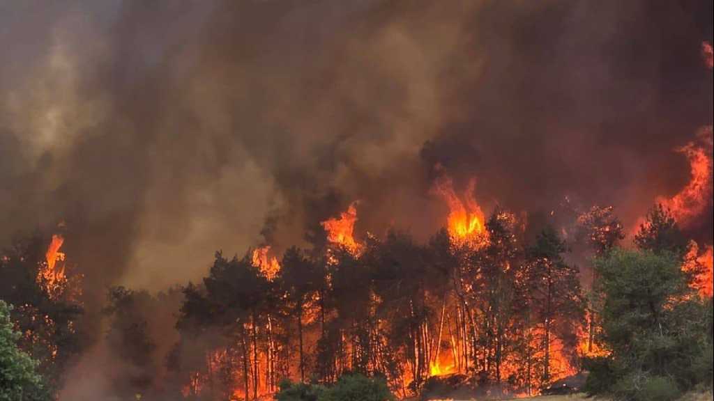 «Israël»: Incendies dévastateurs dans la région d’al-Qods occupée, l’état d’urgence déclaré