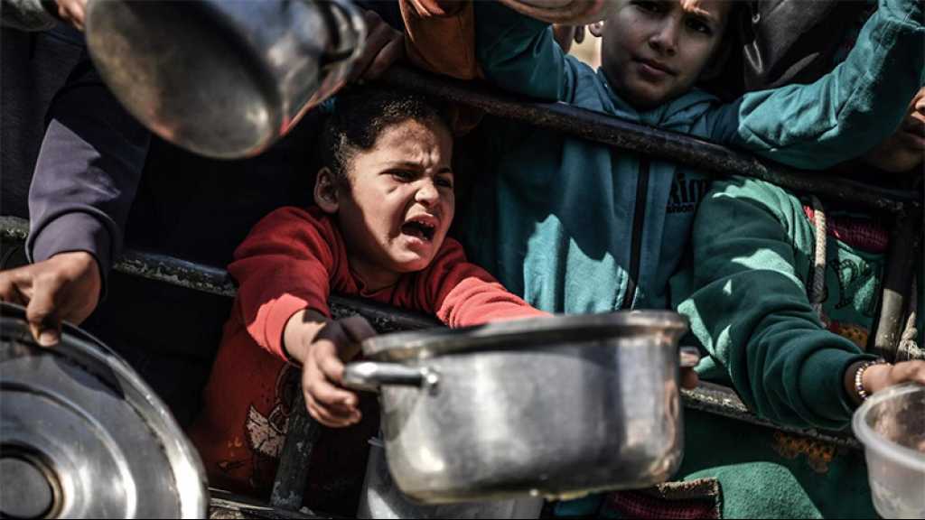 Gaza: 60% des enfants palestiniens menacés par la malnutrition
