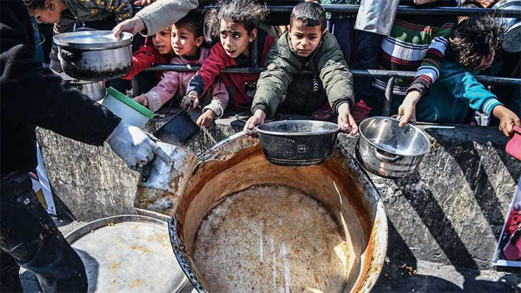Gaza: Plus de 2.700 enfants de moins de 5 ans souffrent d’une malnutrition aiguë, selon l’UNRWA