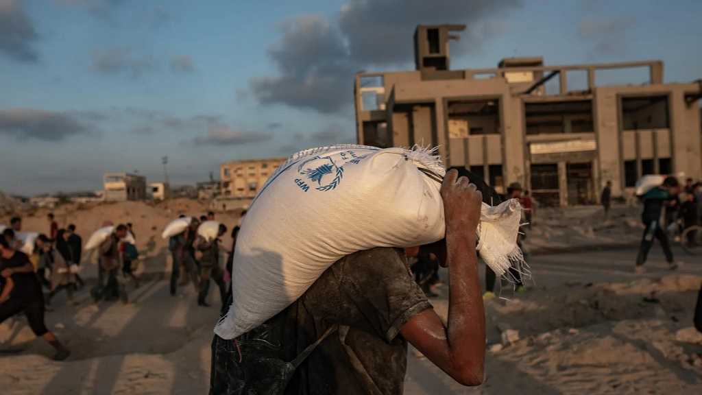 Gaza: «Israël» a tué 150 Palestiniens affamés en 24 heures, selon le Hamas