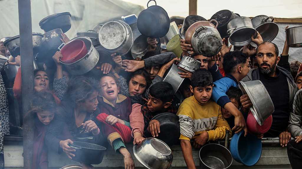 Gaza: Plus de 100 ONG exigent un cessez-le-feu immédiat, alertent sur une «famine de masse»