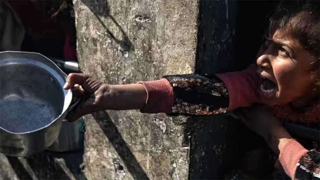 Gaza: L’UE, la France, le Royaume-Uni, le Canada, l’Australie et le Japon dénoncent une situation de «famine»