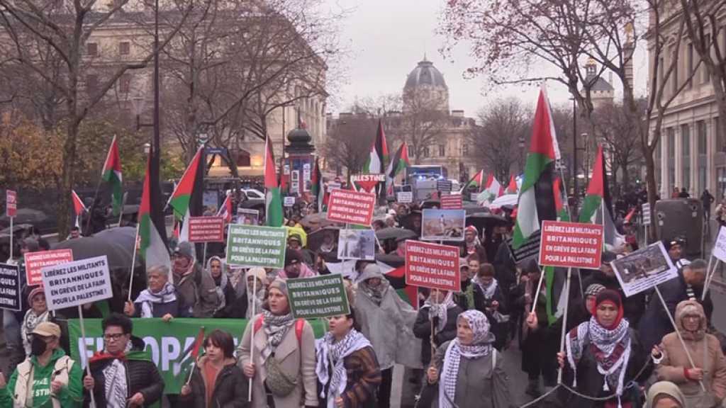 Gaza: Des centaines de Français et de Suédois dénoncent les violations «israéliennes» de la trêve