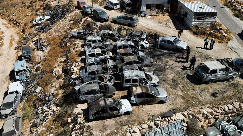 Cisjordanie occupée: La violence des colons «israéliens» contre les Palestiniens en hausse de 25 % en 2025