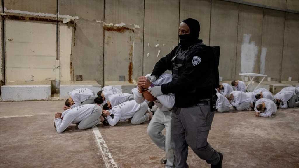 Palestine occupée: 87 détenus tués dans les prisons «israéliennes» depuis octobre 2023