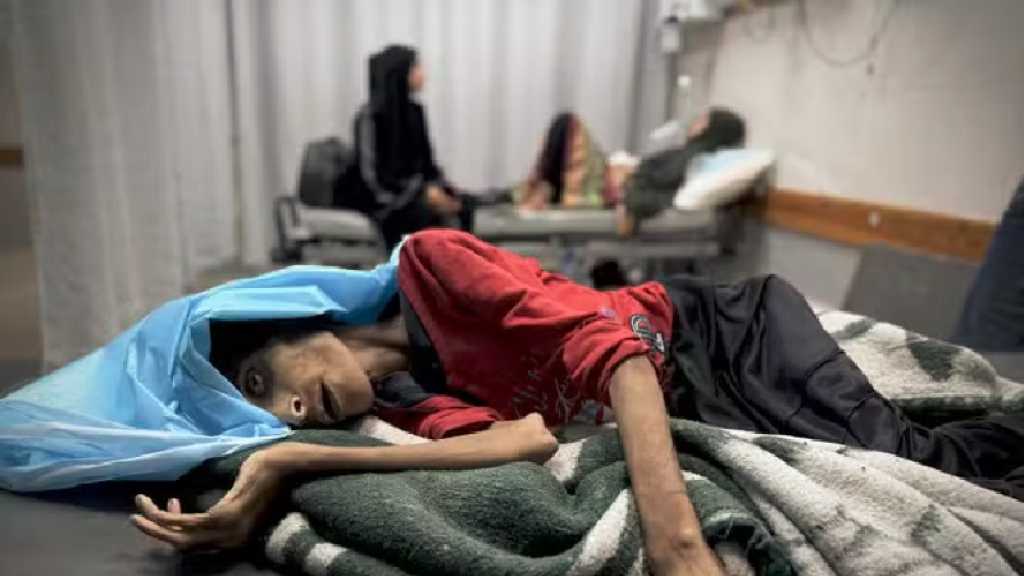 Gaza: Près de 95 000 enfants souffrent de malnutrition en 2025, avertit l’ONU