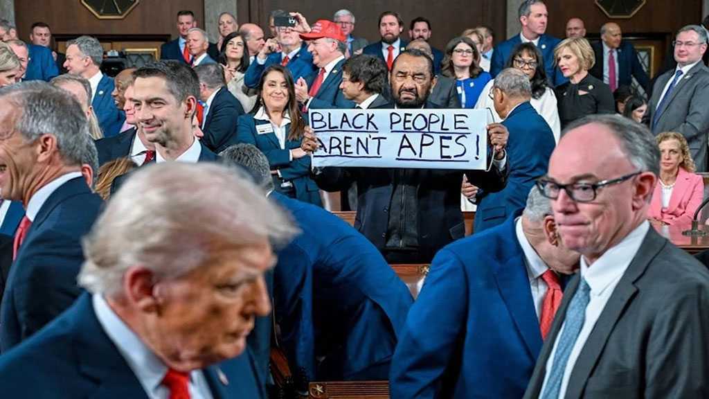 «Les Noirs ne sont pas des singes»: Un élu démocrate brandit une pancarte pendant le discours de Trump au Congrès