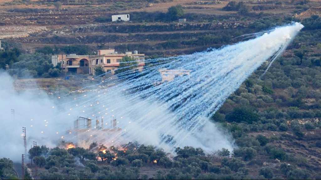 Liban: Plus de 56.000 hectares de terres agricoles touchés par les attaques «israéliennes»