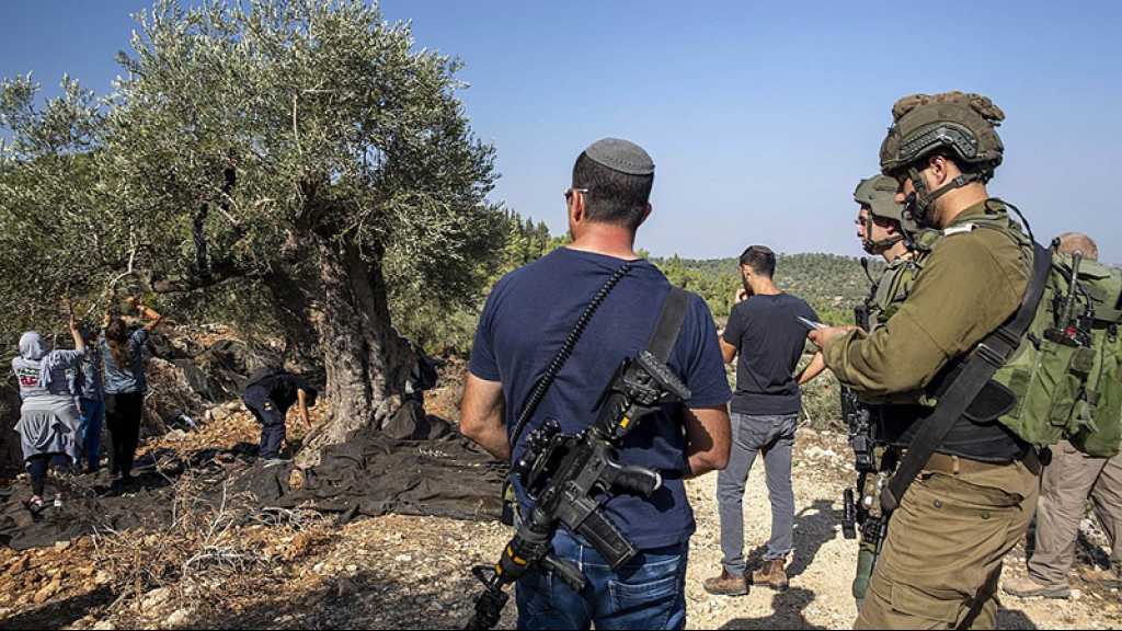 Violences en Cisjordanie occupée: Six pays sanctionnent des colons «israéliens»