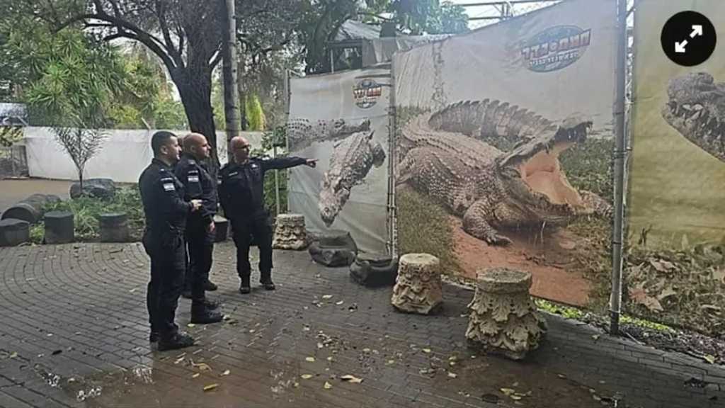 «Israël» lève un obstacle juridique au projet de «prison aux crocodiles»