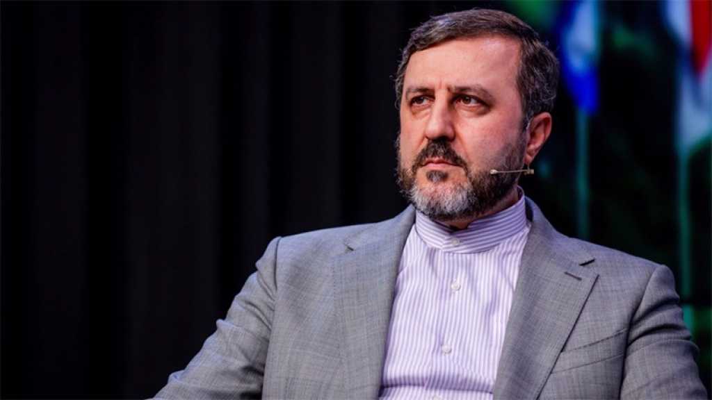 Iran: La présence de forces étrangères doit être éliminée de la région, dit Gharibabadi