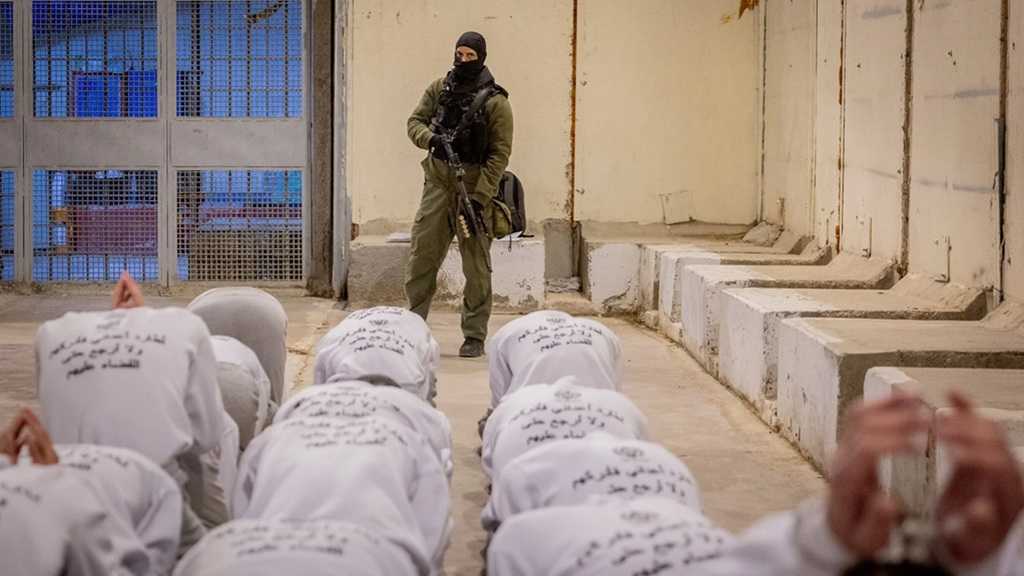 Palestine occupée: 1 500 prisonniers malades dans les prisons «israéliennes» confrontés à une mort lente