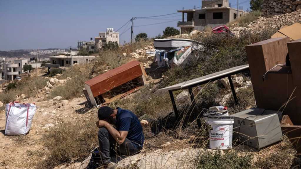 Cisjordanie occupée: 1 156 agressions de colons «israéliens» depuis début octobre